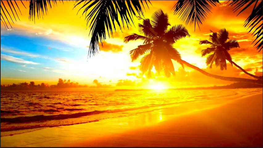 Sunshine Cleaning Service of Ocala