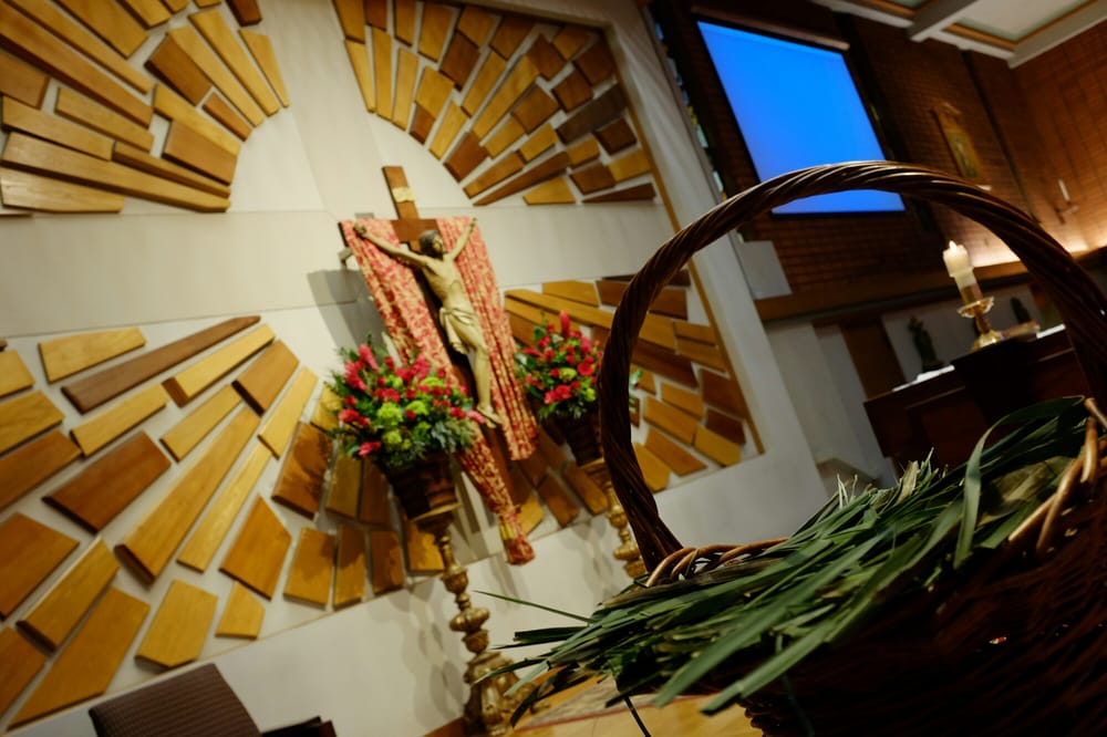 St Cecilia Catholic Church 11 Photos Elementary Schools 1301