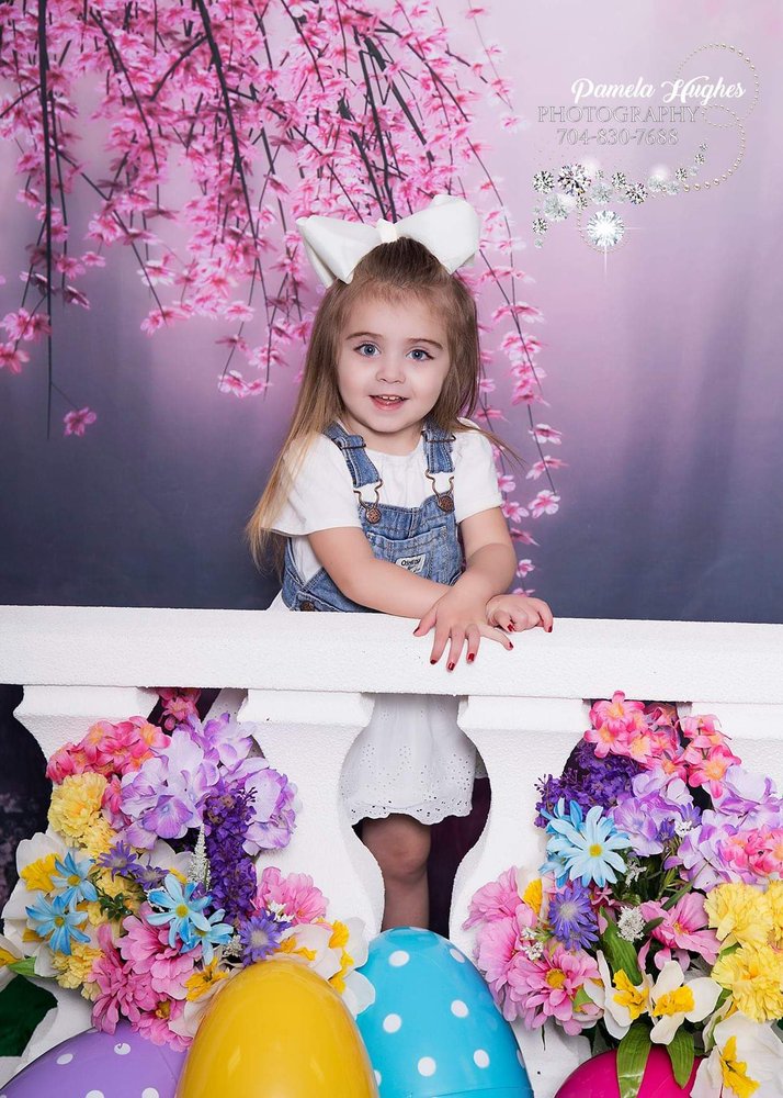 Pamela Hughes Photography