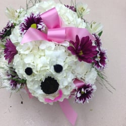 Creative Expressions Florist 10 Photos Florists 10541 Photo Of Creative Expressions Florist White Plains Md United States Loved Dog
