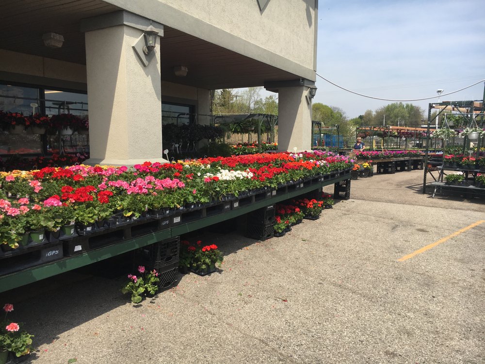 Farmers Market 18 Photos Fruits & Veggies 37685 S Gratiot Ave