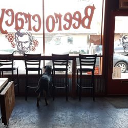 beerocracy 12 reviews pubs 911 w garland ave spokane wa yelp