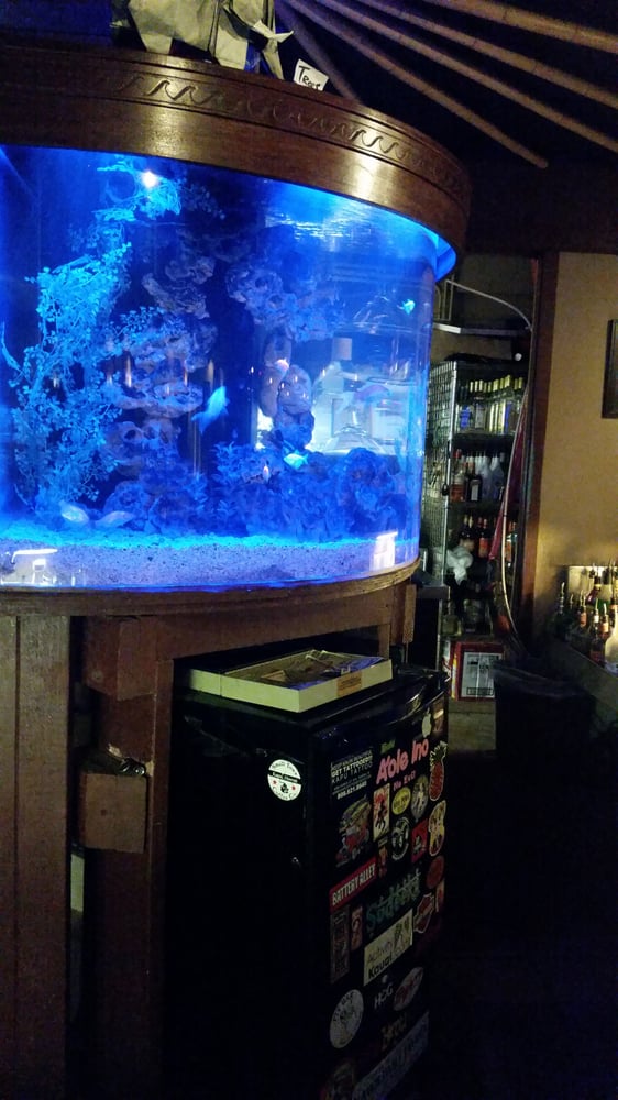 Trees Lounge 66 Photos & 170 Reviews Music Venues 440 Aleka Pl