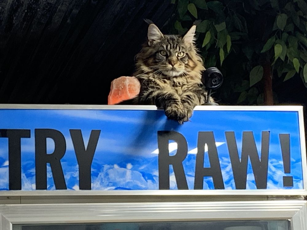 Paws Zup