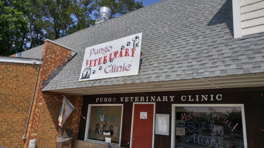 Pungo Veterinary Clinic Veterinarians 1776 Princess Anne Rd
