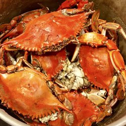 Pop S Fish Market 112 Photos 143 Reviews Seafood 131 W Pop S Fish Market 112 Photos 143 Reviews Seafood 131 W Hillsboro Blvd Deerfield Beach Fl Restaurant Phone Number Yelp