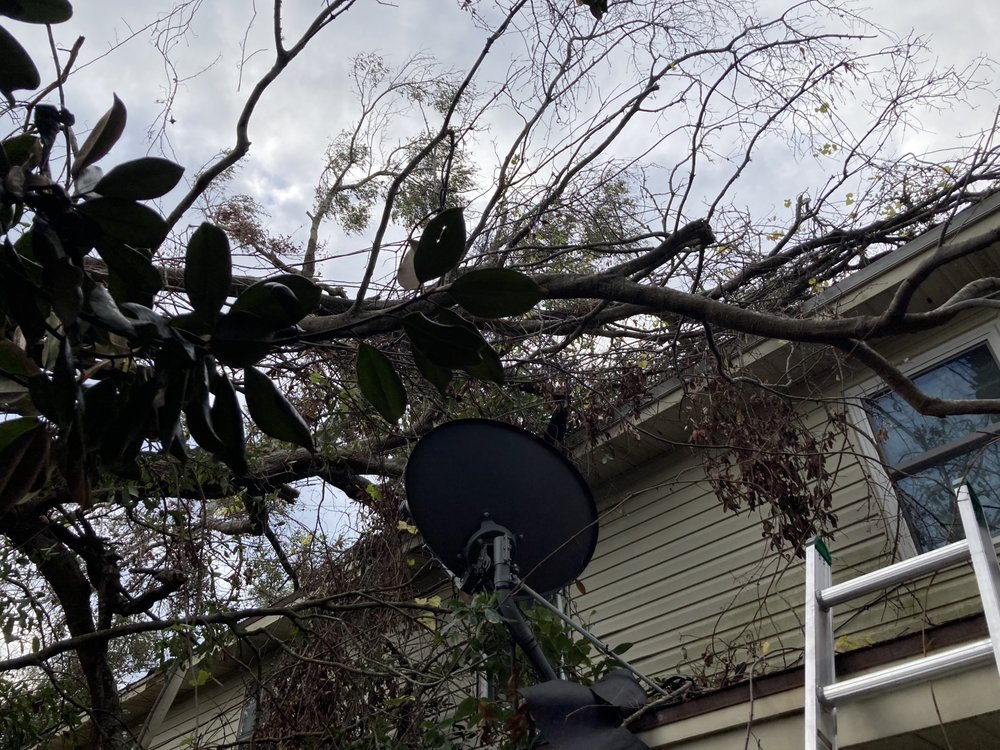 Good Guy Tree Service