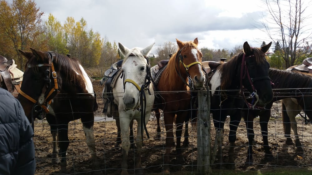 St Lazare Ranch