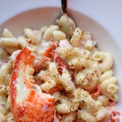 The Best 10 Restaurants In Newton Ma With Prices Last Updated 1 District 118 Kitchen And Bar