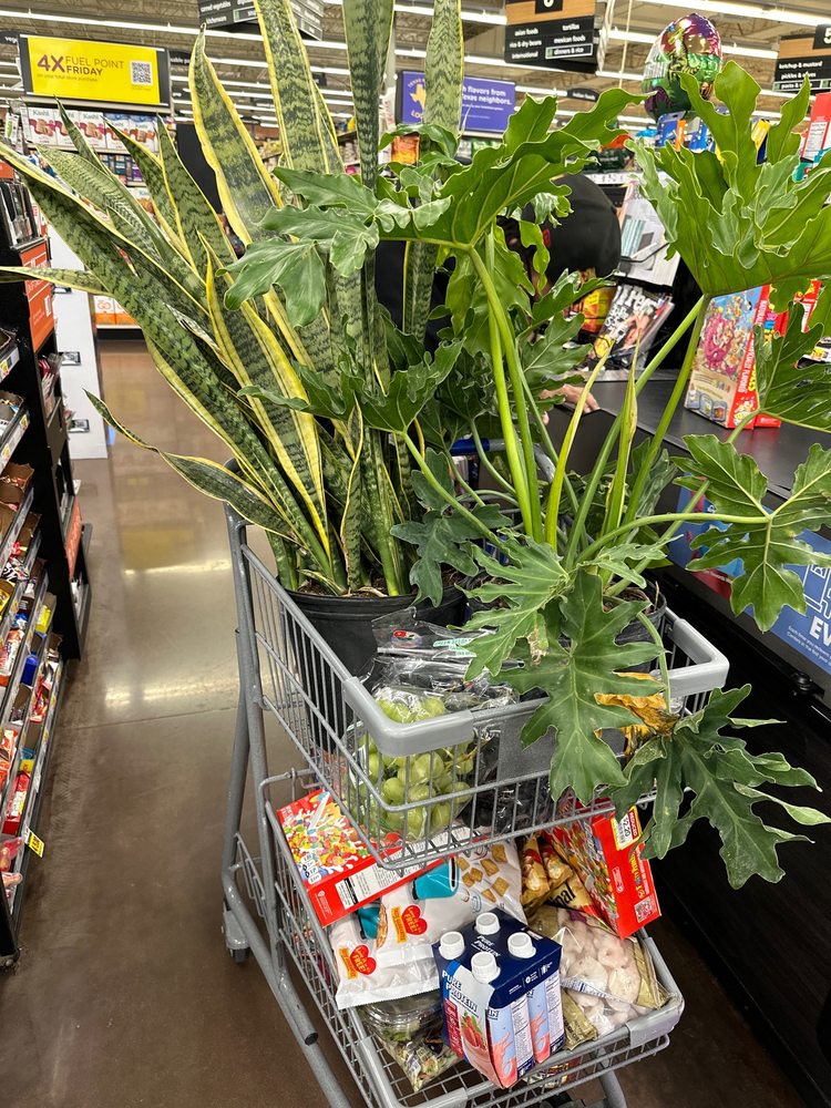 Kroger