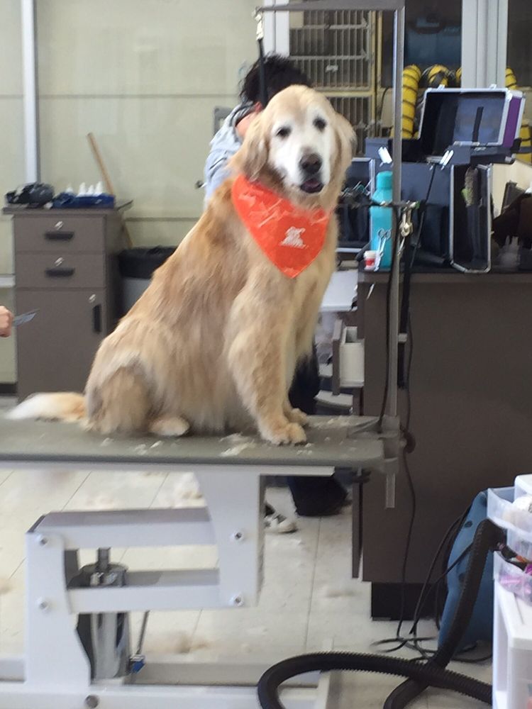 photos for petco yelp