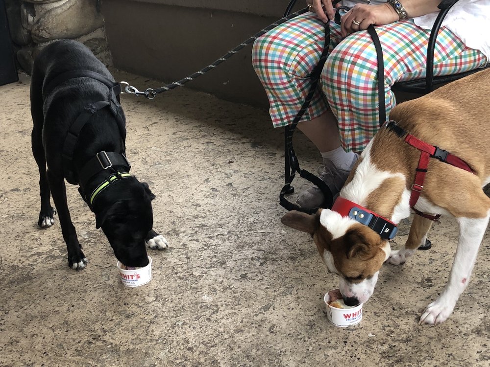 Whit's Frozen Custard - Asheville