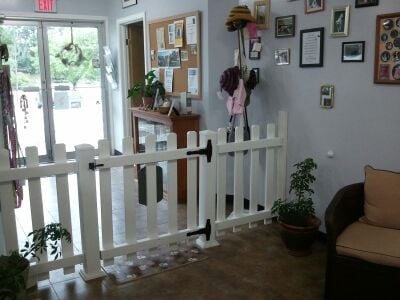 Photos For Bow Meow Pet Grooming Boutique Yelp Photo Of Bow Meow Pet Grooming Boutique Es Junction Vt United States