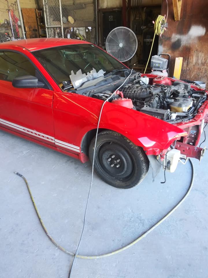 THE DENT SPECIALIST