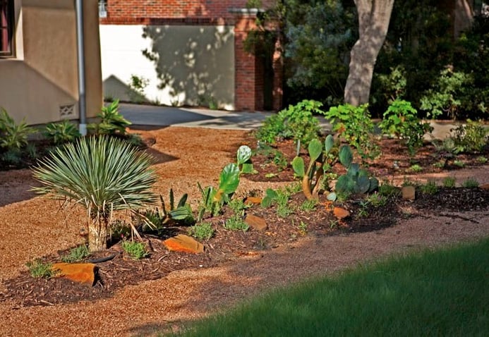 Randolph Landscapes