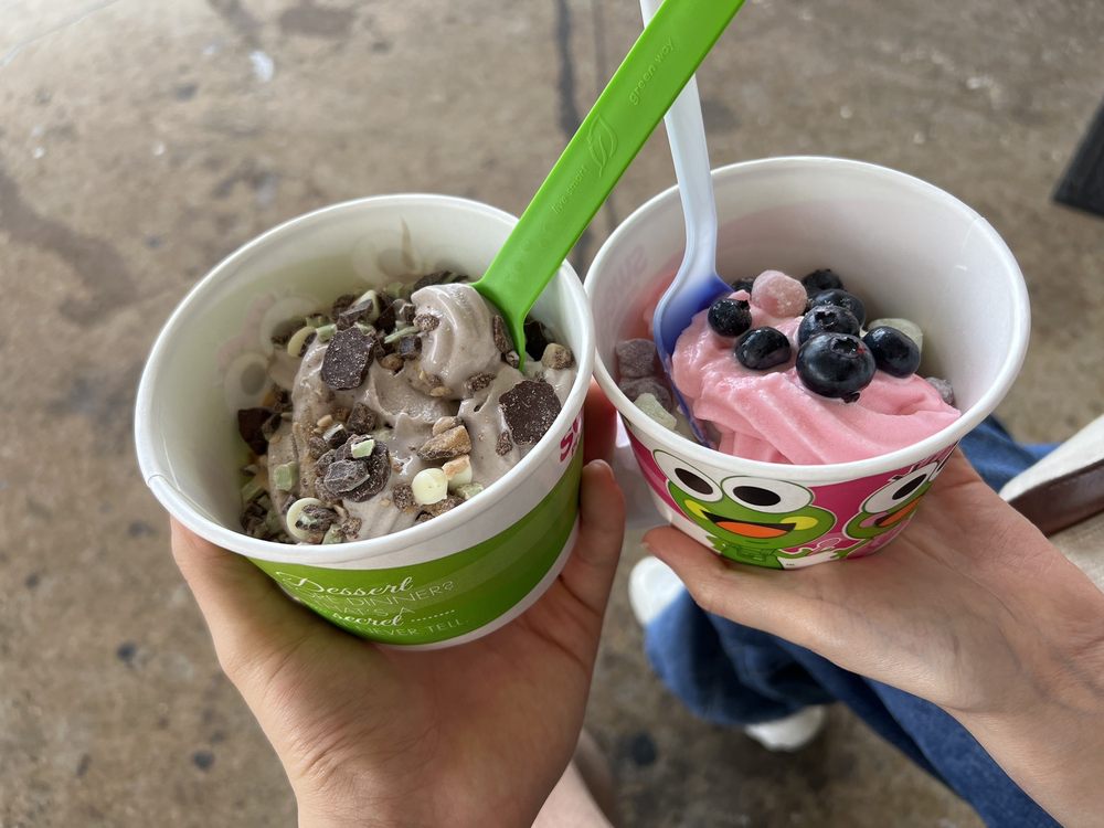 sweetFrog Premium Frozen Yogurt