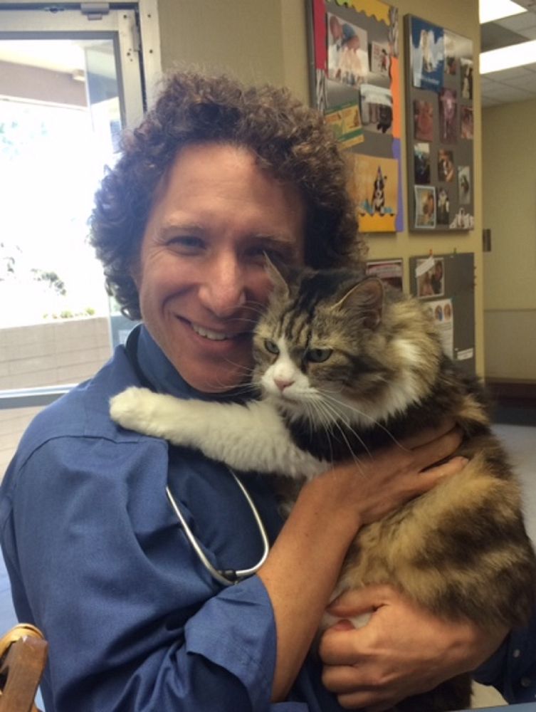 Gary Richter, DVM Veterinarians 4382 Piedmont Ave, Piedmont Ave