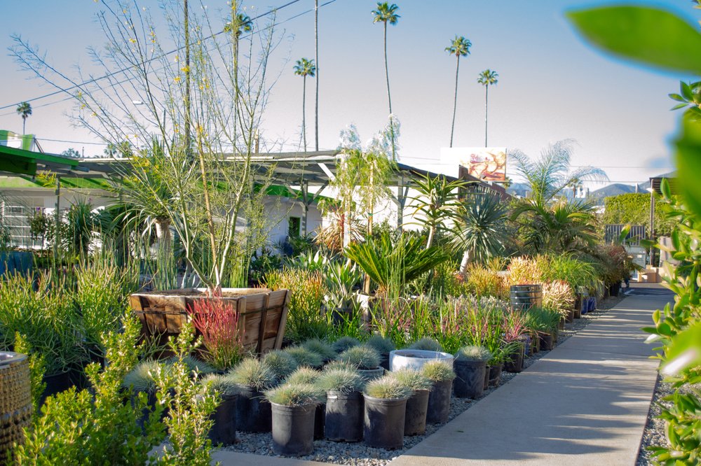 The Standard Design Group Nurseries