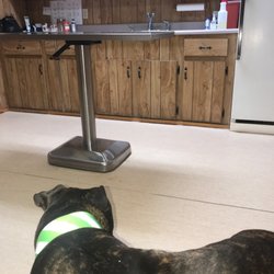 bean blossom animal clinic