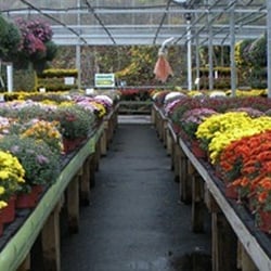 Jim Jenkins Lawn Garden Center Nurseries Gardening 1877 Photo Of Jim Jenkins Lawn Garden Center Upper Saint Clair Pa United