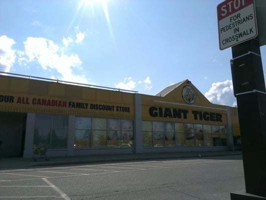 shoe station tiger town