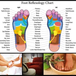 Jade Relaxing Spa Venice Fl Jade Relaxing Spa Venice Fl