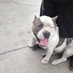 Brakes Plus Near Me >> Central Tire Service No 4 - 10 Reviews - Tires - 13213 Crenshaw Blvd, Hawthorne, CA - Phone ... Brakes Plus Near Me >> Central Tire Service No 4 - 10 Reviews - Tires - 13213 Crenshaw Blvd, Hawthorne, CA - Phone ...