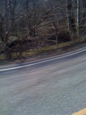 Collins Career Center