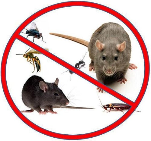 All Brevard Lawn & Pest