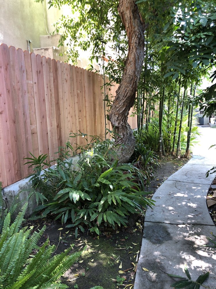 Kavin Fence