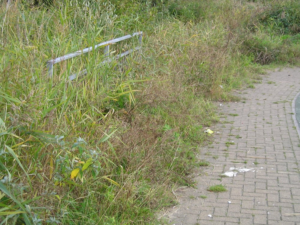 Gallion's Housing Association