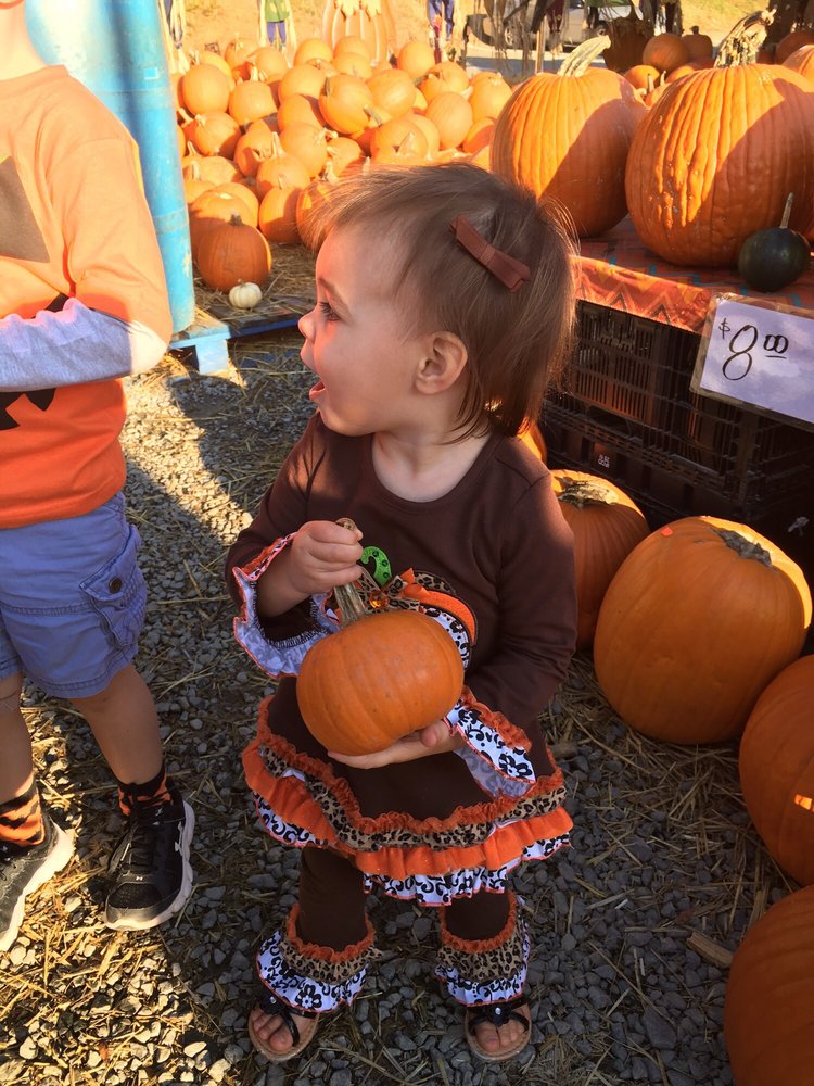 Kings Drive Farmers Market 50 Photos & 49 Reviews Farmers Market