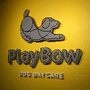 PlayBow Dog Daycare