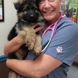 Dog Grooming Sun Prairie Wi Dog Grooming Sun Prairie Wi