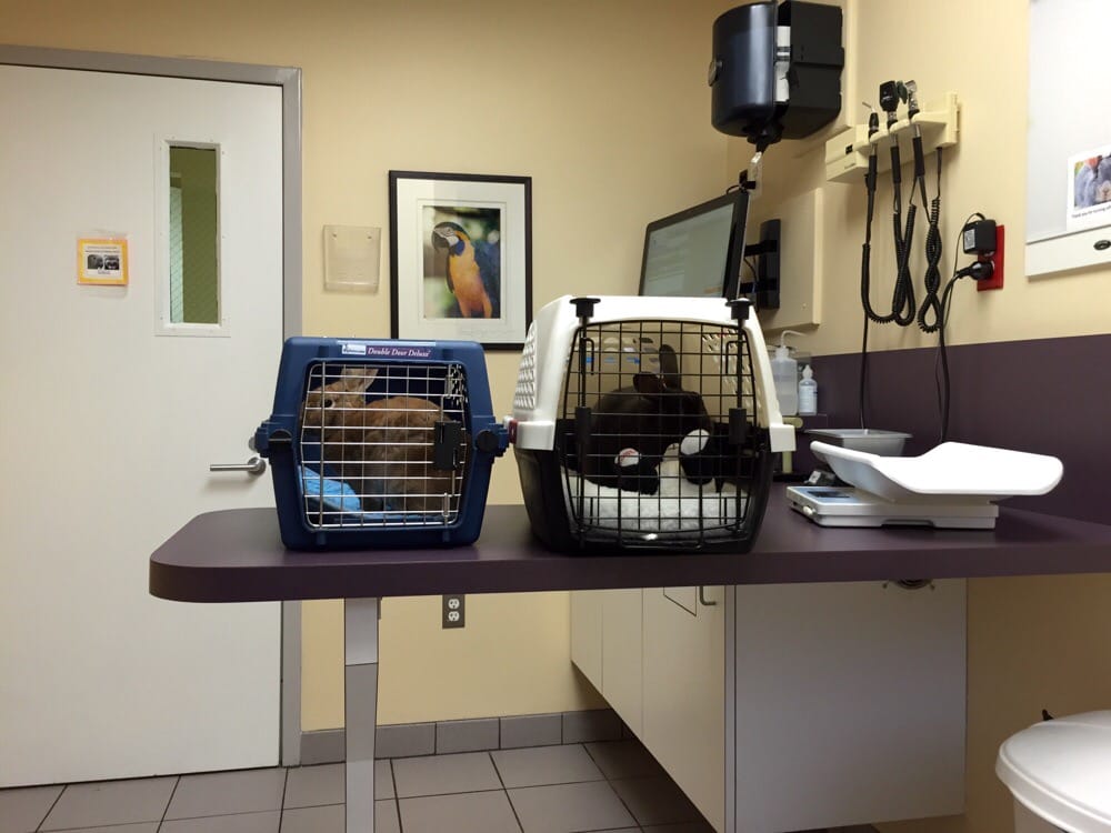 Pender Veterinary Centre 29 Photos & 184 Reviews Veterinarians