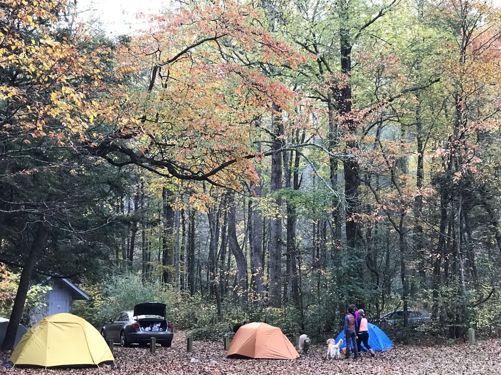 Black Mountain Campground Campgrounds 50 Black Mtn Campground Rd