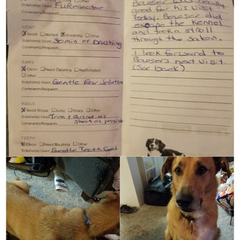 Petsmart Canada Dog Training Review Petsmart Canada Dog Training Review