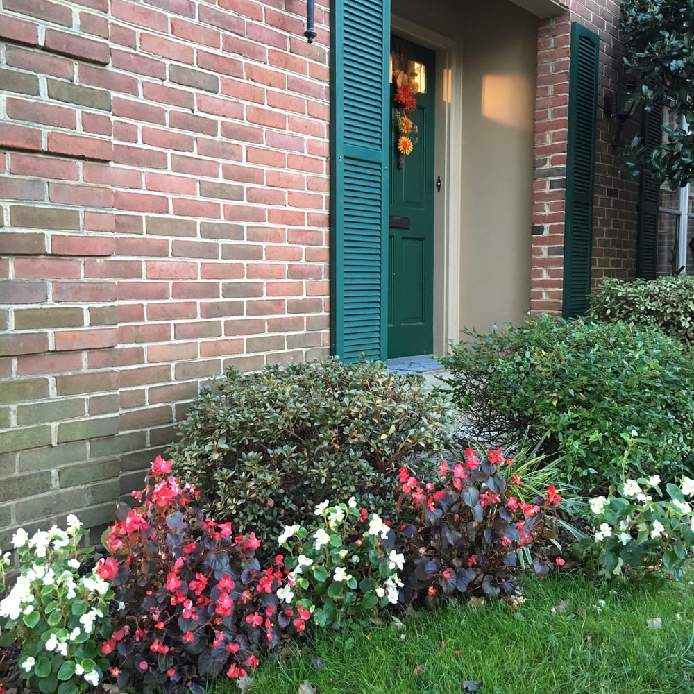 Palmers Property Maintenance