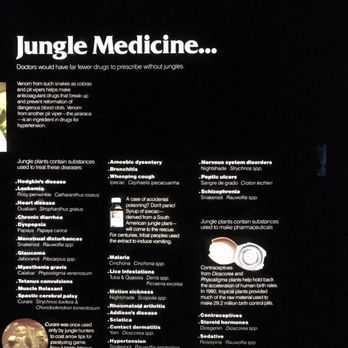 Family Sportslife Today