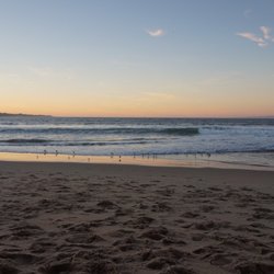 Seaside Beach 53 Photos 19 Reviews Beaches Hwy 218 Photo Of Seaside Beach Ca United States Blessed To Be Able