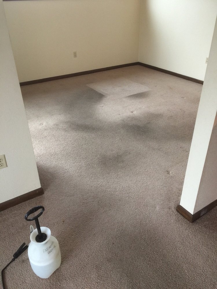 Heaven's Best Carpet Cleaning