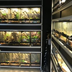 fin feather pet center