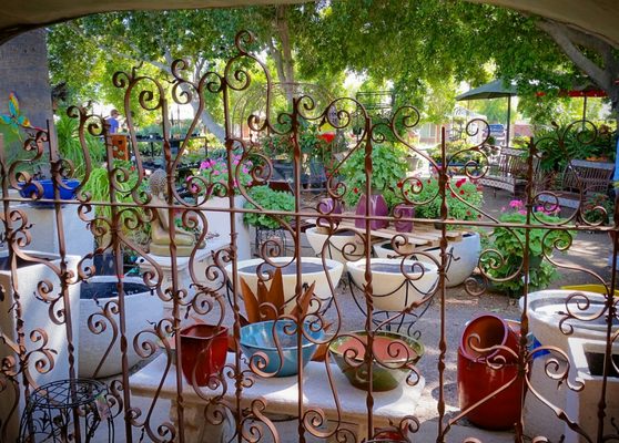 Whitfill Nurseries Inc 824 E Glendale Ave Phoenix Az Whitfill Nurseries Inc 824 E Glendale Ave Phoenix Az Mapquest