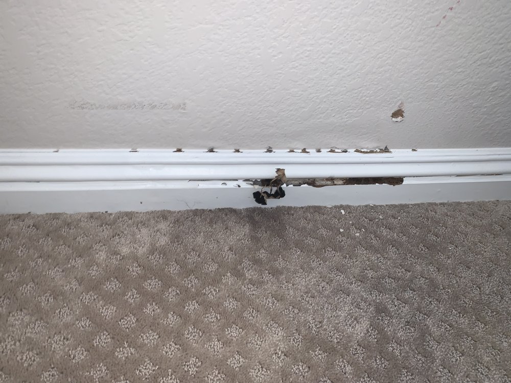 SERVPRO of Pleasanton/Dublin