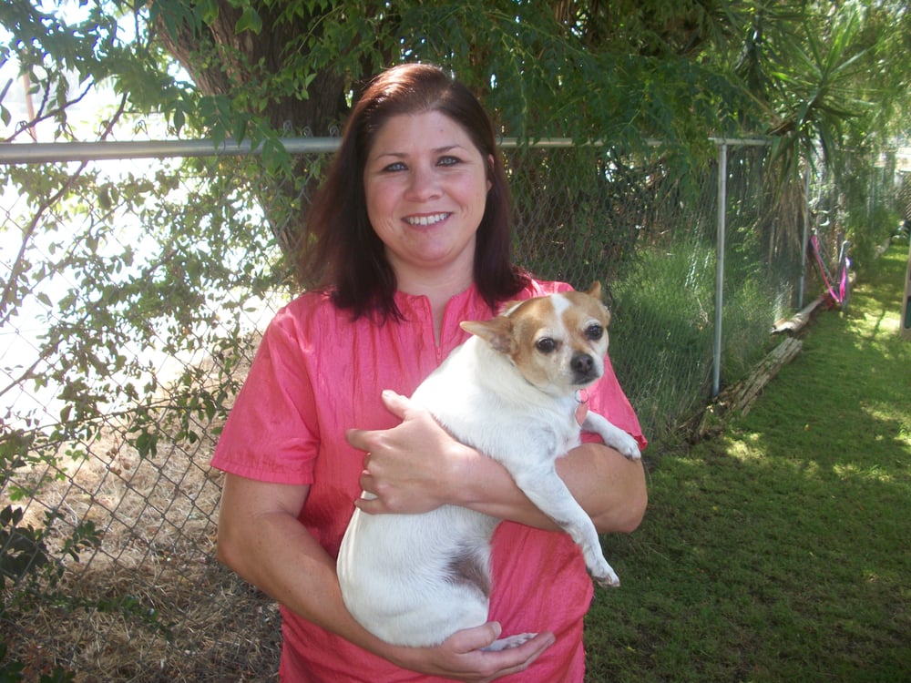 The Animal Express Pet Groomers Riverside, CA Phone Number Yelp