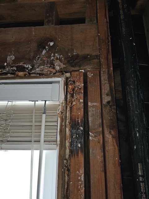 Emerald Isle Restoration & Floor Care