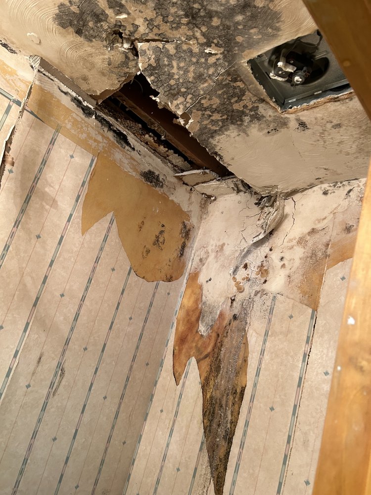 Mold Stingers