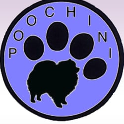 grooming albuquerque poochini pet grooming 19 photos 26 reviews pet groomers 7900 ave ne grooming albuquerque poochini pet grooming 19 photos 26 reviews pet groomers 7900 ave ne