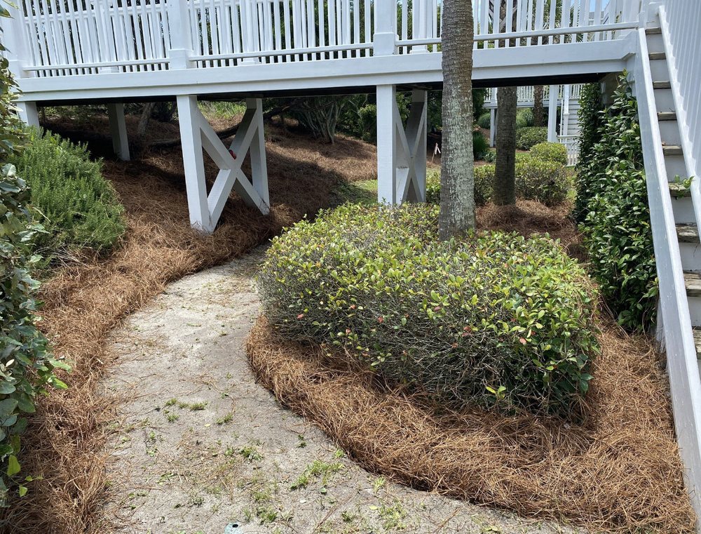 Rico Landscaping and Maintenance