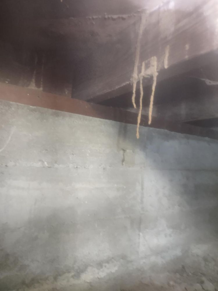 So Cal Termite Solutions